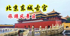 3P插逼视频爽爽爽中国北京-东城古宫旅游风景区
